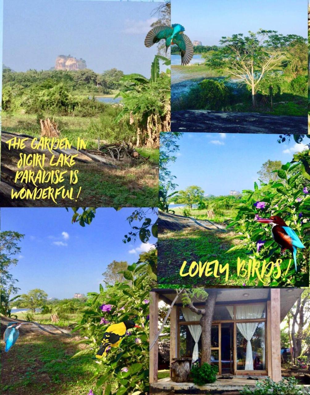 Sigiri Lake Paradise Sigiriya Exterior photo